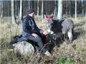 Veranstaltungsbild Esel-Trekking mit Bauer Gerd