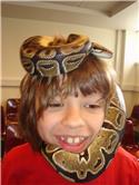Veranstaltungsbild Reptil Day - Tag der Schlange