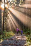 Veranstaltungsbild Familienwanderung durch das Venner Moor