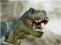 Veranstaltungsbild Auf den Spuren der Dinosaurier
